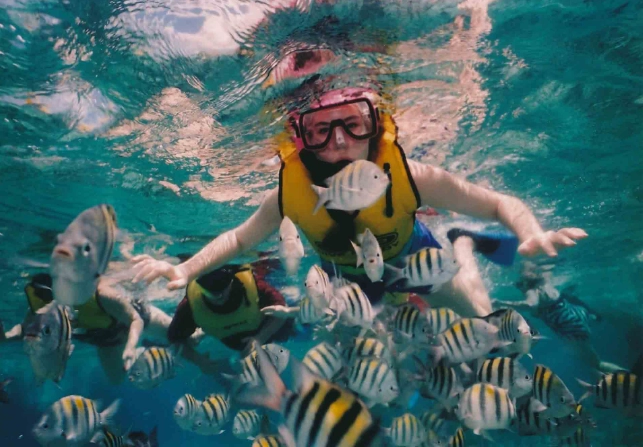 snorkeling etiquette