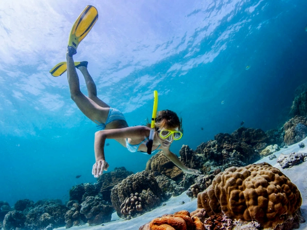 how to snorkel responsibly