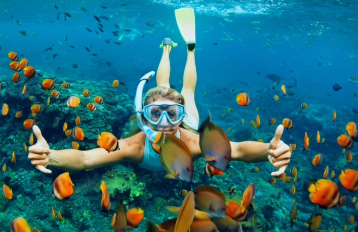 best snorkeling day trips best snorkeling day trips