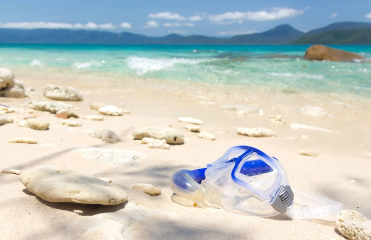 snorkel mask fogging solution snorkel mask fogging solution