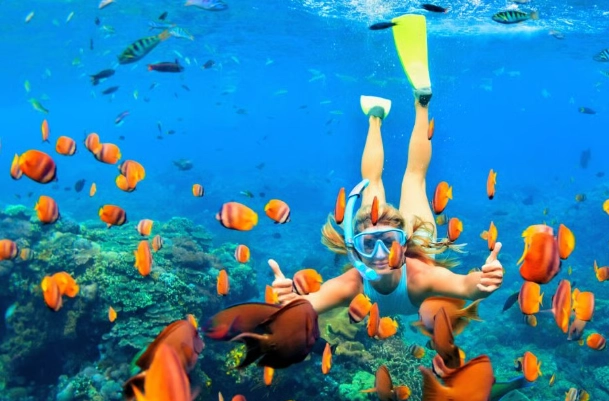 Hawaii snorkeling hazards Hawaii snorkeling hazards