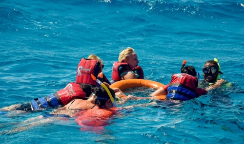 beginner snorkeling safety beginner snorkeling safety