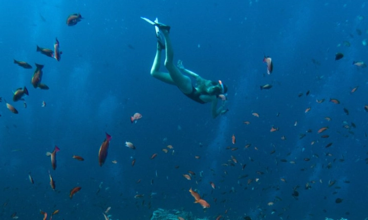 snorkeling in indonesia for beginners snorkeling in indonesia for beginners