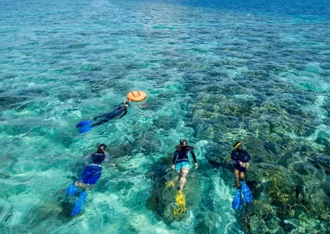 snorkeling in indonesia for beginners snorkeling in indonesia for beginners