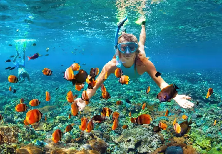 maldives snorkeling safety maldives snorkeling safety