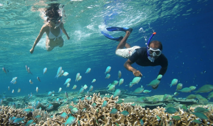 snorkeling maldives dangerous snorkeling maldives dangerous
