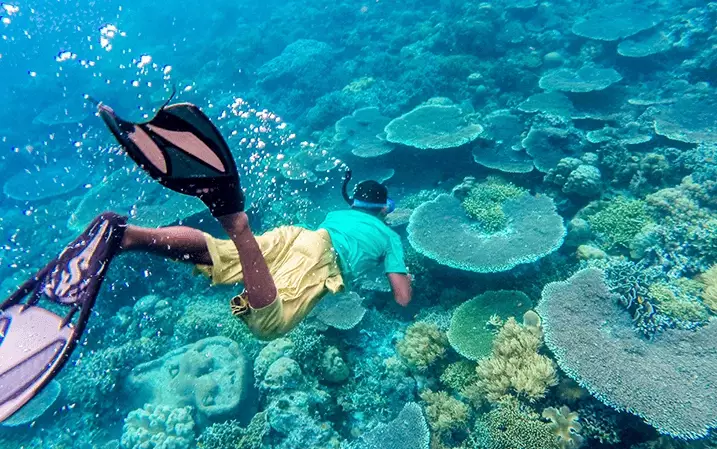 how to snorkel for beginners how to snorkel for beginners