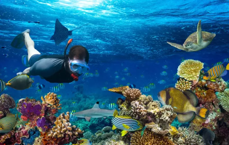 maldives snorkeling safety maldives snorkeling safety