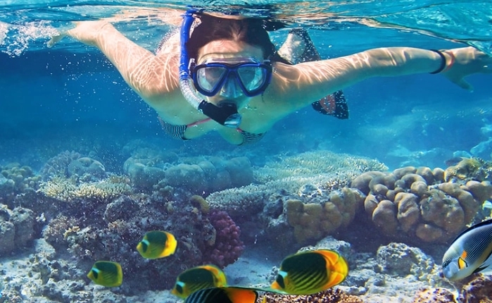 dangerous snorkeling maldives dangerous snorkeling maldives