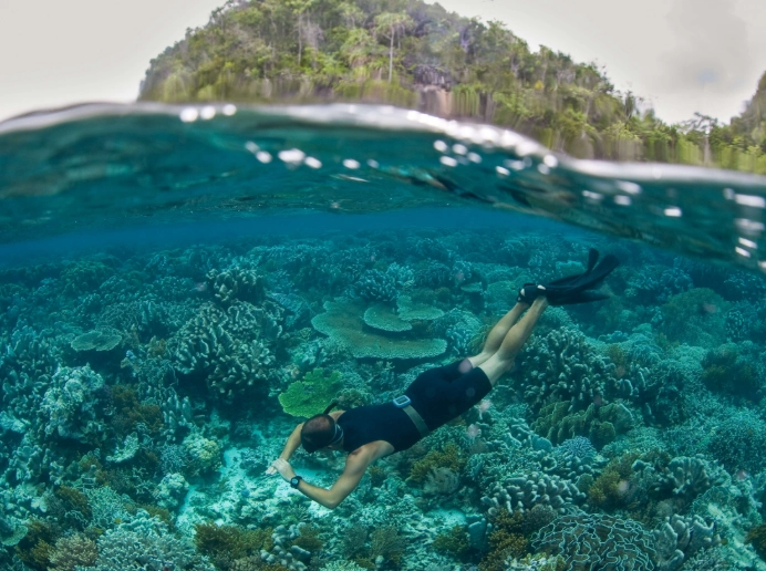 snorkeling in indonesia for beginners snorkeling in indonesia for beginners