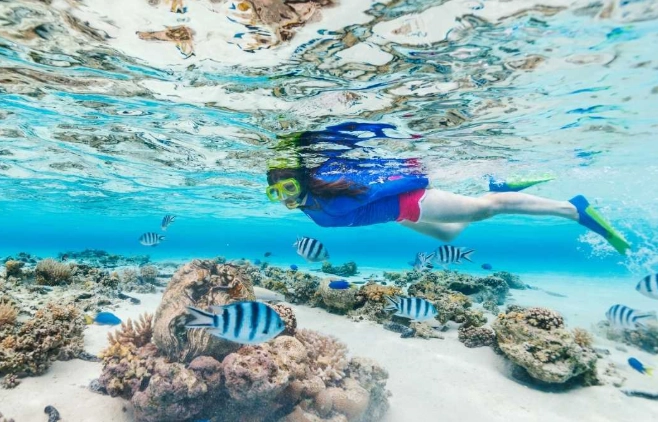 cost to snorkel in Maldives cost to snorkel in Maldives