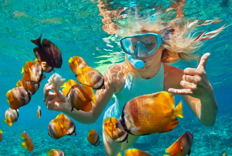 beginner snorkeling spots indonesia beginner snorkeling spots indonesia