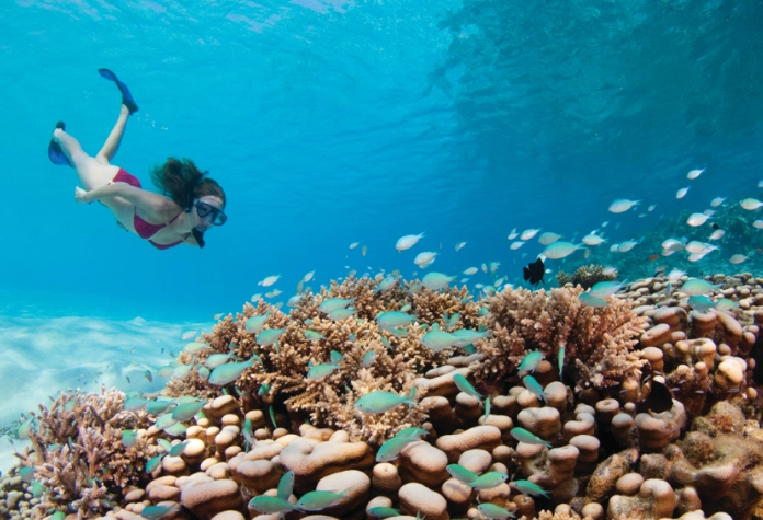 Maldives snorkeling for beginners Maldives snorkeling for beginners
