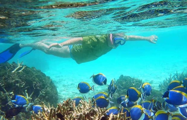best snorkeling spots Maldives best snorkeling spots Maldives