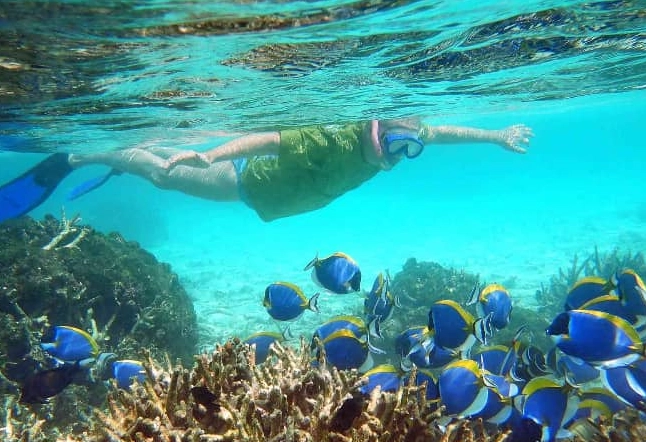 snorkeling maldives dangerous snorkeling maldives dangerous