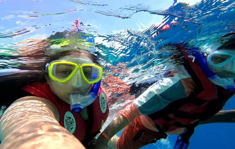 snorkeling for non swimmers snorkeling for non swimmers