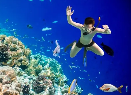 cost to snorkel in Maldives cost to snorkel in Maldives