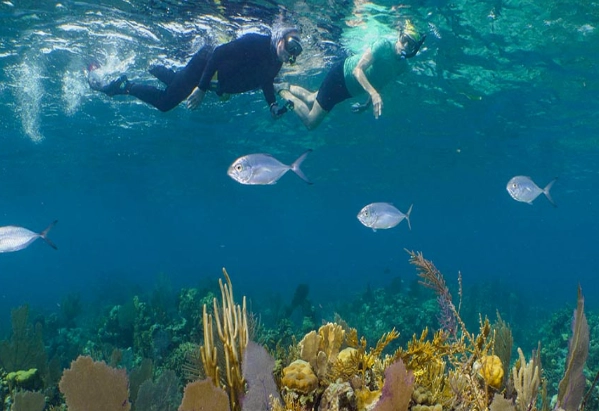 best snorkeling wetsuit best snorkeling wetsuit