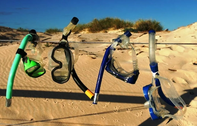 snorkeling gear care snorkeling gear care