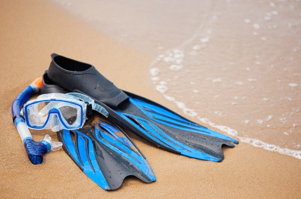 best fins for shore snorkeling