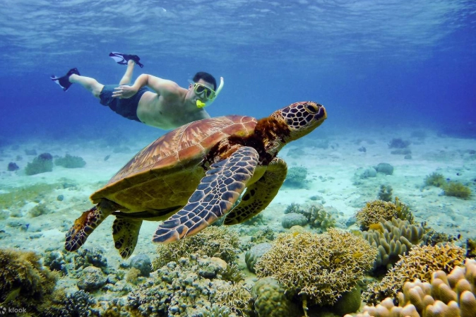 best snorkeling spots Philippines