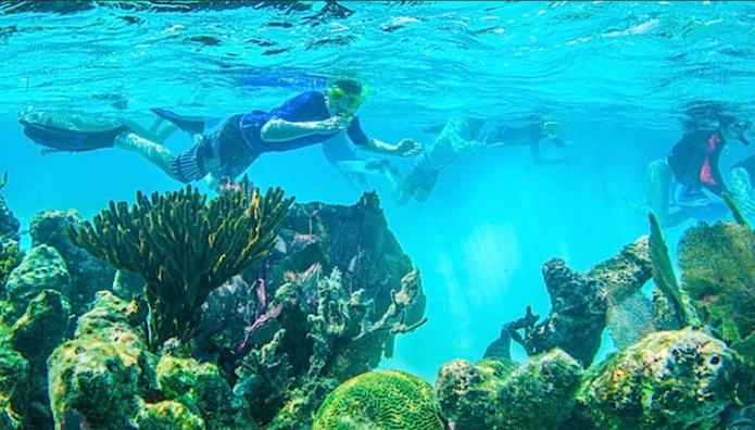 Snorkeling in Belize