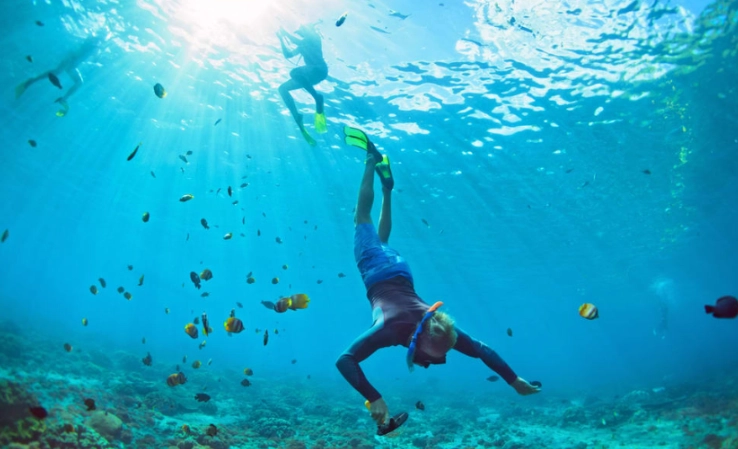 snorkeling in maldives
