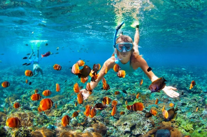Great Barrier Reef snorkeling tours