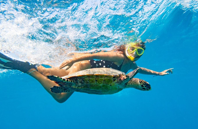 snorkeling in Hawaii