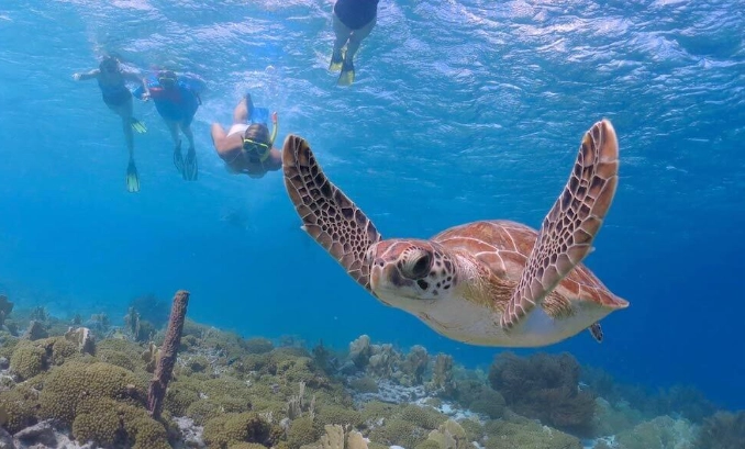Mexico snorkeling destinations