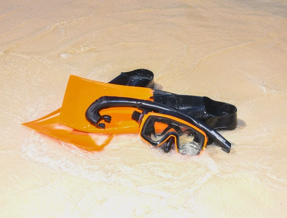 best snorkel gear for cruise best snorkel gear for cruise