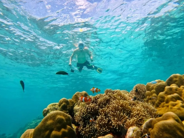 snorkeling in Thailand
