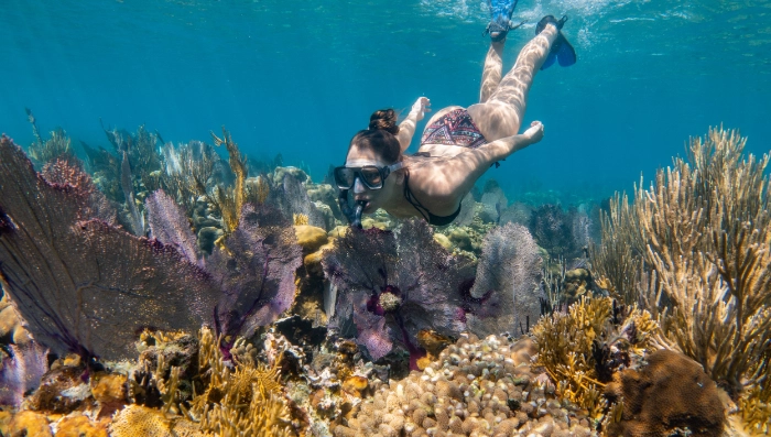Belize snorkeling tours