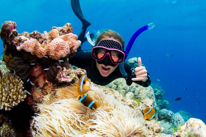 best snorkeling spots Great Barrier Reef