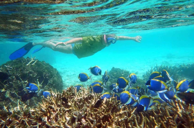 best snorkeling spots maldives