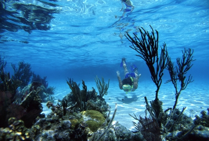 Belize snorkeling tours