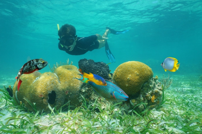 Belize barrier reef snorkeling