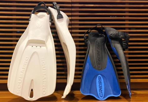 best snorkel fins for travel