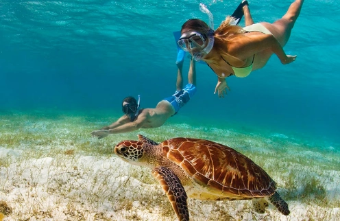 best Caribbean snorkeling
