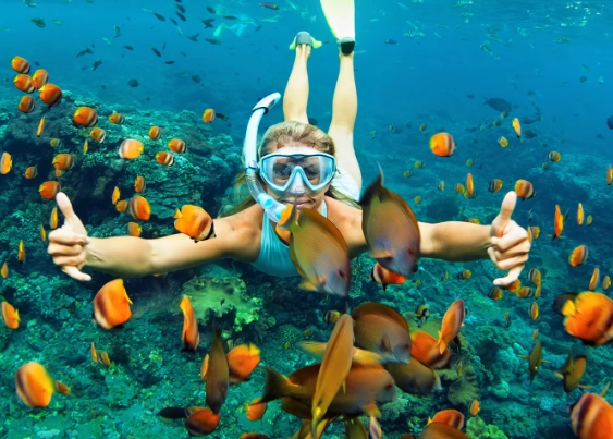 snorkeling for beginners