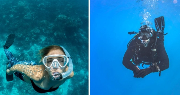 scuba diving certification