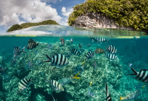 world-class snorkeling locations