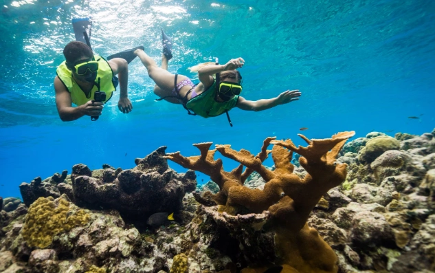 best snorkeling destinations