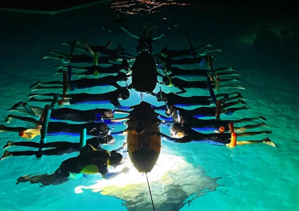 swim with manta rays