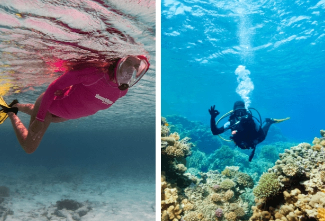snorkeling vs scuba diving