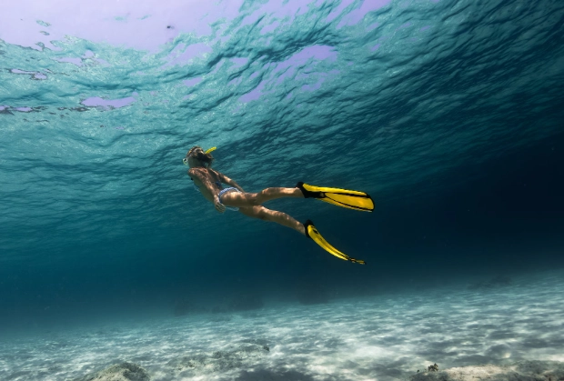 best Caribbean snorkeling