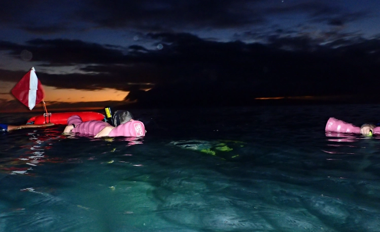 night snorkeling safety