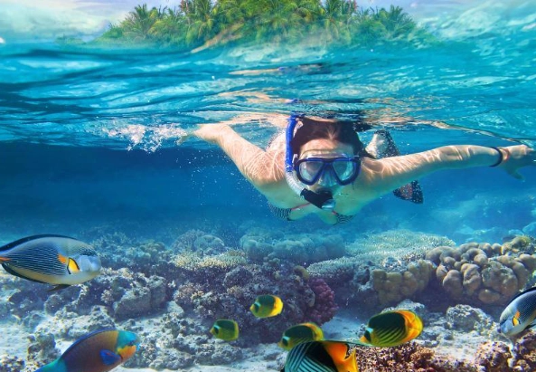 snorkeling gear for coastal exploration