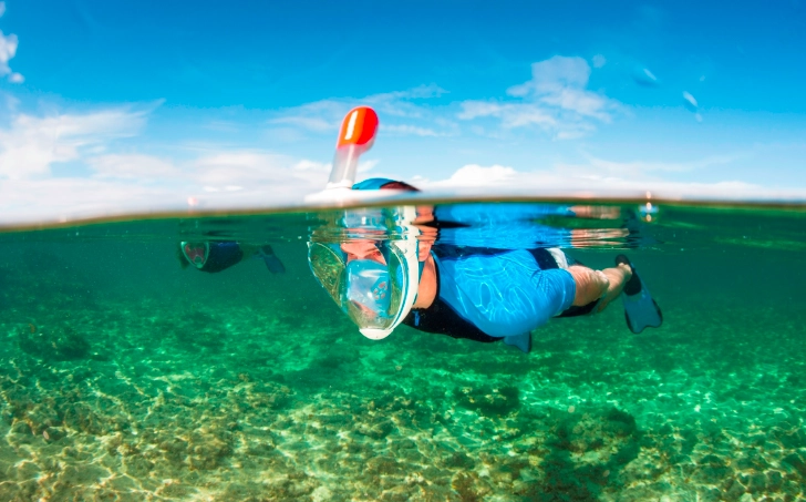 full face snorkel mask