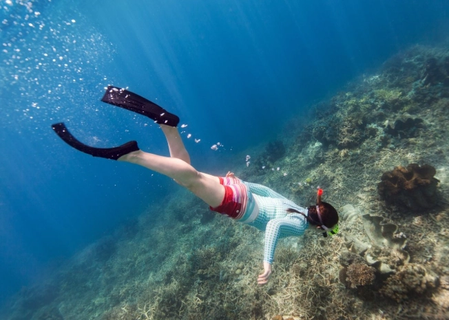 clear water snorkeling equipment